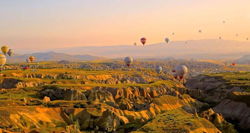 Why Personality HQ is So Accurate?